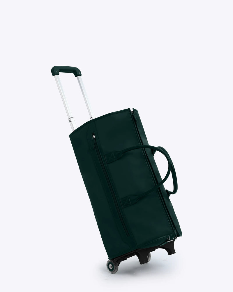 card-only #color_forest green