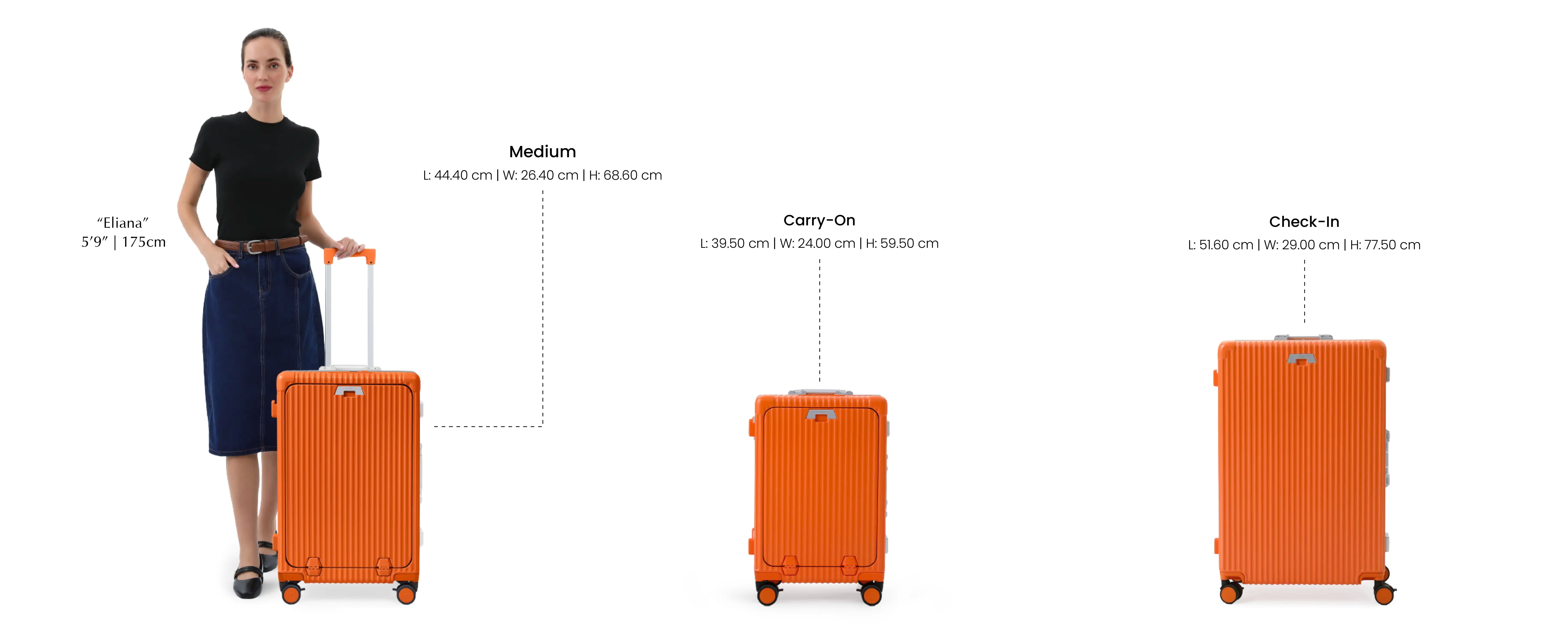Desktop Image for Sorbet Orange
